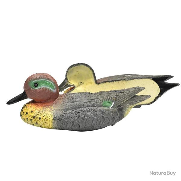 Sarcelle d'hiver mouss�e avec quille lest�e M�le