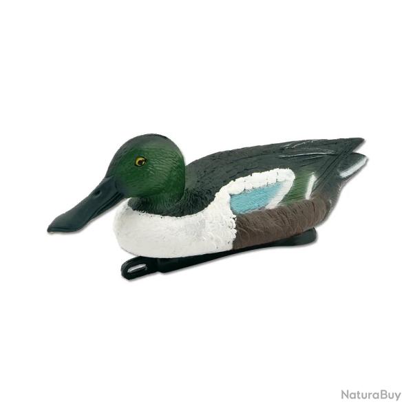 Souchet mouss avec quille leste Femelle