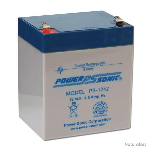 Batterie 12V Rechargeable capacit 4.5 AH