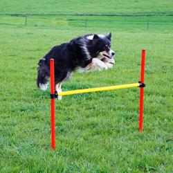 Kit complet d'agilit&eacute; pour chien Agility en 3 parties