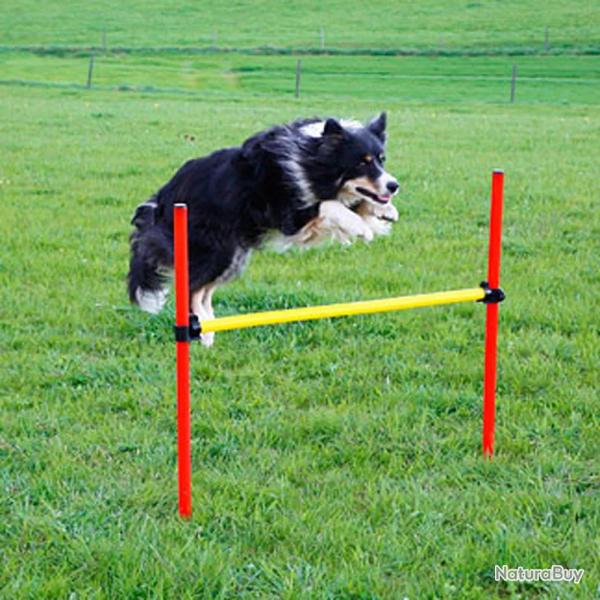 Kit complet d'agilit� pour chien Agility en 3 parties
