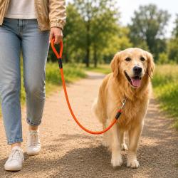 Laisse tubulaire HB DOG Biothane orange 120 cm