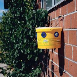 Seau Pi&egrave;ge &agrave; Mouches Fly Appibuster 90% de mouches en moins