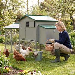 Grand poulailler m&eacute;tal galvanis&eacute; 3/4 poules 200X80X120 cm