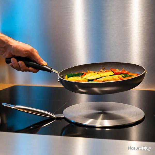 Le disque relais induction