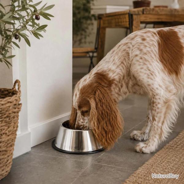 Gamelle haute pour chien � longues oreilles 1825 ml
