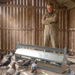 Mangeoire &agrave; rouleau pour pigeon 1m