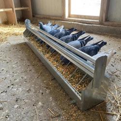 Mangeoire &agrave; rouleau pour pigeon 1m