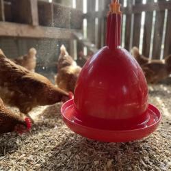 Abreuvoir poules et volailles automatique &agrave; suspendre