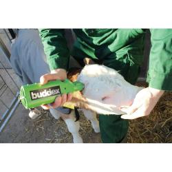 Ecorneur Buddex &agrave; batterie