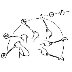 Jeu chien lanceur de balle de tennis manuel