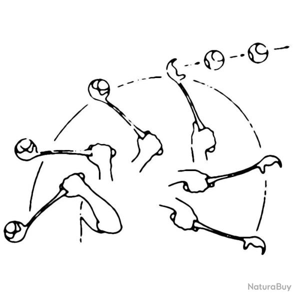 Jeu chien lanceur de balle de tennis manuel