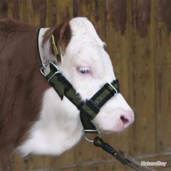 Licol pour veau rglable