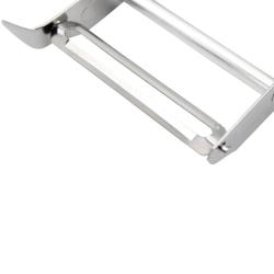 &Eacute;plucheur rasoir Castor