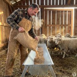 Mangeoire lin&eacute;aire galvanis&eacute;e moutons brebis ch&egrave;vres