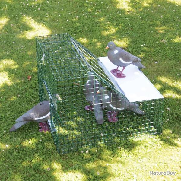 Pi�ge cage � pigeons double entr�e 60 X 60 X 45 cm