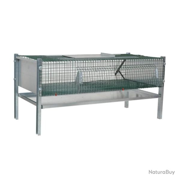 Cage d'engraissement en maille galvanis�e thermolaqu�e pour cailles