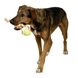 Jeu chien Balle de tennis avec poign&eacute;e 37 cm