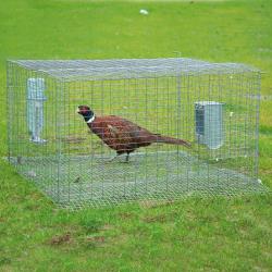 Cage de pr&eacute;-l&acirc;cher galvanis&eacute;e thermolaqu&eacute;e vert