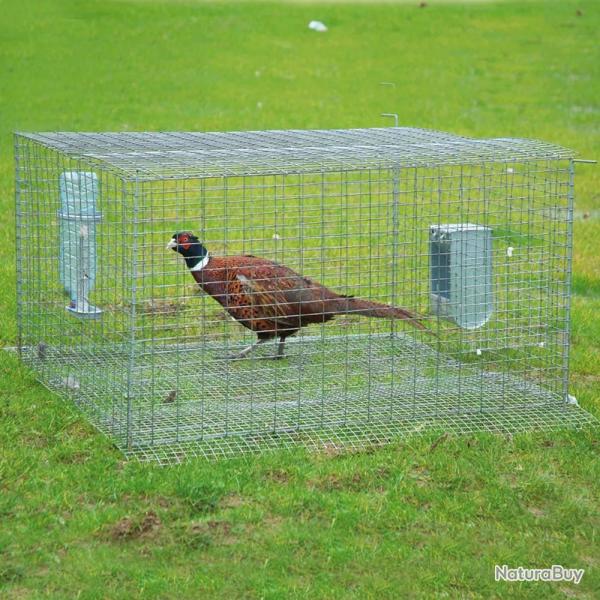 Cage de pr�-l�cher galvanis�e thermolaqu�e vert