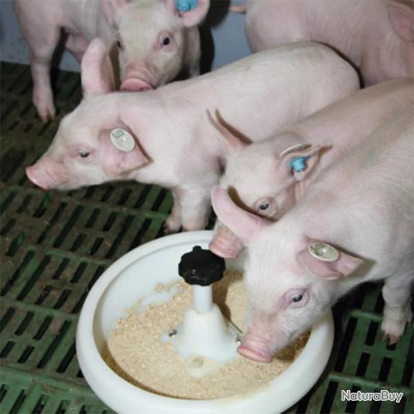 Mangeoire en plastique pour porcelets 2,5L