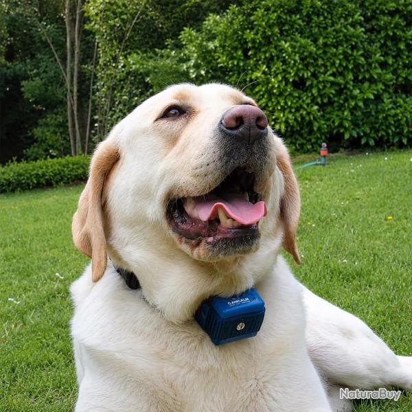 Collier anti-aboiement pour gros chien "Canicalm"