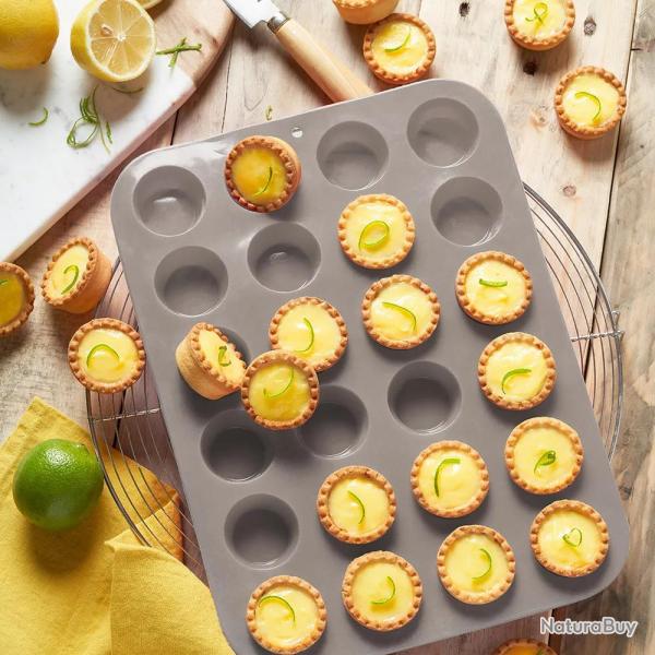 Moule silicone Pradel France 24 mini tartelettes
