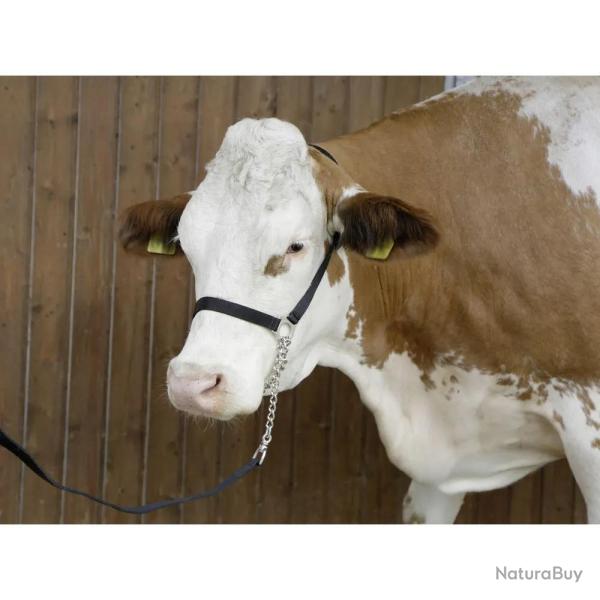 Licol de pr�sentation Bovin + Longe