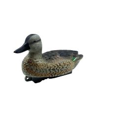 Appelant Sarcelle d'hiver femelle HD 30 x 17cm Lot de 12