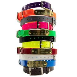 Collier &agrave; graver sur plaque BIOGOLD petit chien et chiot 11 couleurs Orange fluo