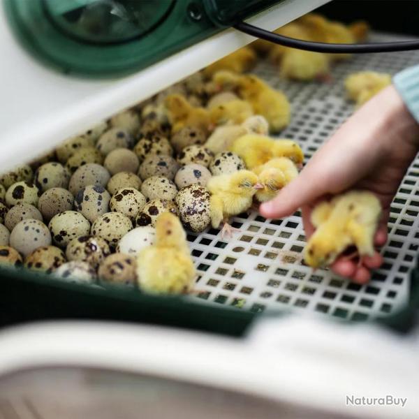 Couveuse automatique Egg Tech 24 + humidificateur N�bula