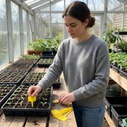 10 Portes-&eacute;tiquettes pour plantes
