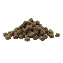 Croquettes pour Chiens Adult Skin Care Medium & Maxi 12,5kg