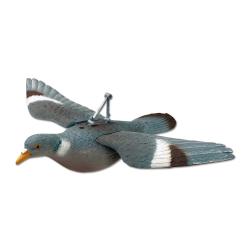 Appelant pigeon plein &agrave; ailes d&eacute;ploy&eacute;es
