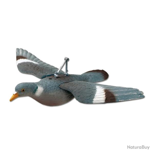 Appelant pigeon plein � ailes d�ploy�es