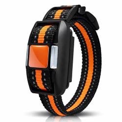 Collier suppl&eacute;mentaire de dressage sans &eacute;lectrochoc 500 m - Bip et vibration - &Eacute;tanche IP67 - Rechar
