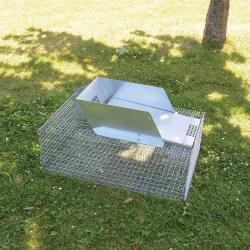 Pi&egrave;ge &agrave; rats et ragondins multiprises m&eacute;tal