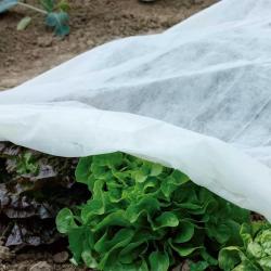 Voile polypropyl&egrave;ne 1,5 x 5 m