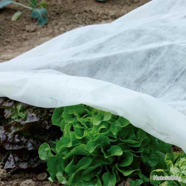 Voile polypropyl�ne 1,5 x 5 m