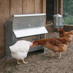 Mangeoire &agrave; tr&eacute;mie galvanis&eacute;e 20Kg 54 x 27 x 51 cm