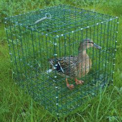 Cage pour chanteuse pliable 30x30x30cm &agrave; l'unit&eacute;