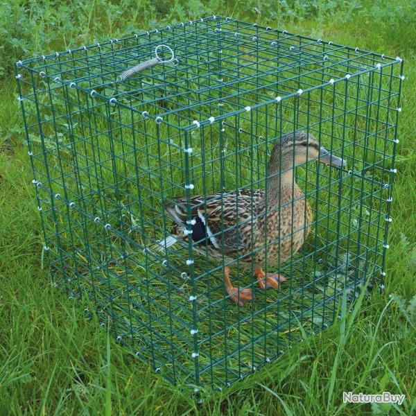 Lot de 10 Cages pour chanteuse pliable 30x30x30cm