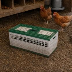 Cage de transport petit gibier plastique 60 X 30 X 26 cm