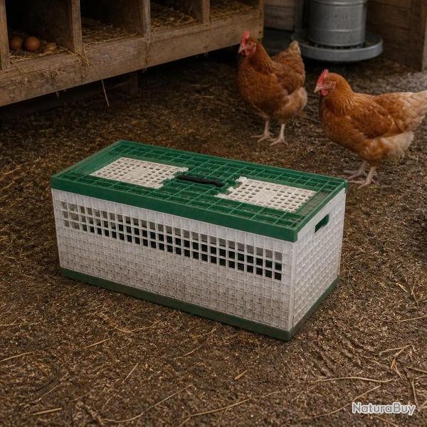 Cage de transport petit gibier plastique 60 X 30 X 26 cm