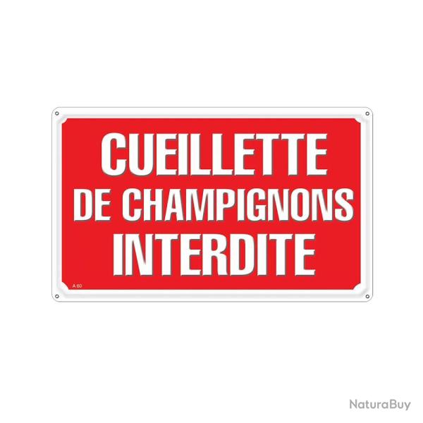 Panneau CUEILLETTE CHAMPIGNONS Akilux 26x20cm