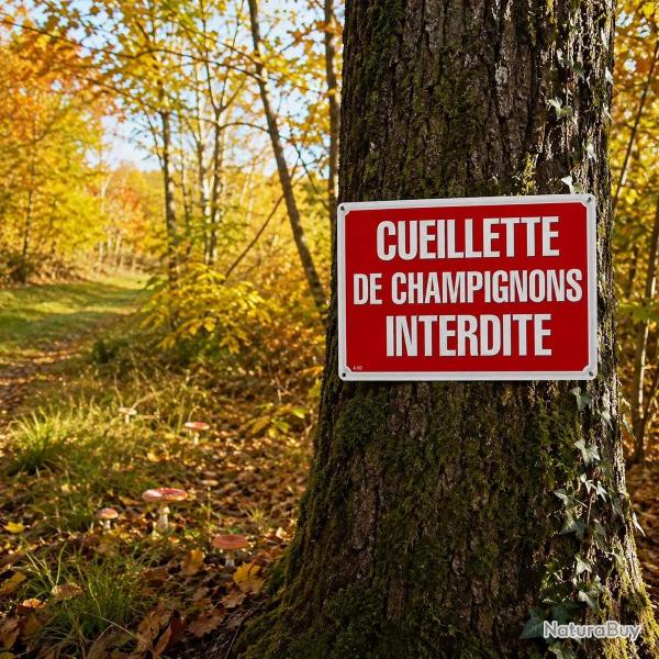 Panneau Cueillette champignons interdite Akilux 26 � 20 cm