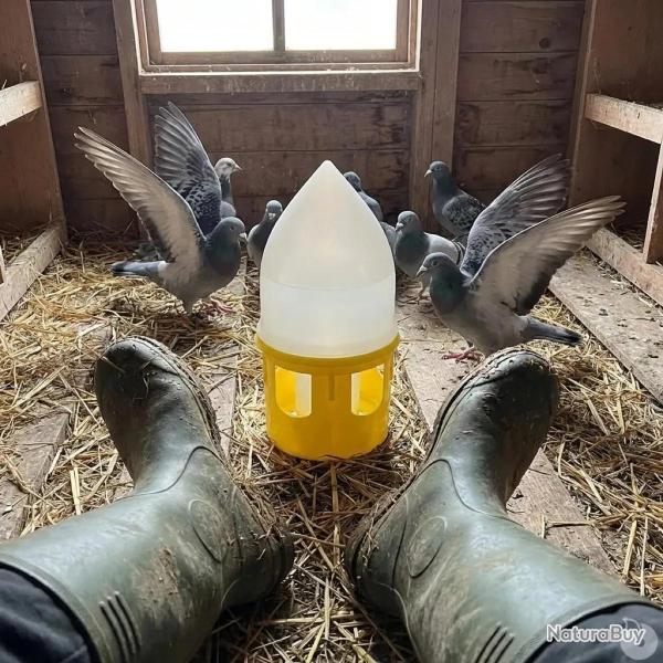 Abreuvoir sipho�de pour pigeons 5L