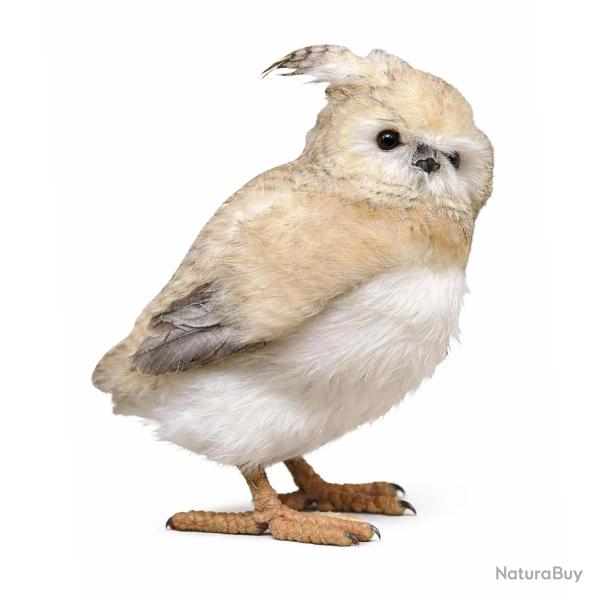 Hibou debout 34cm brun clair 19x16x29cm d�co
