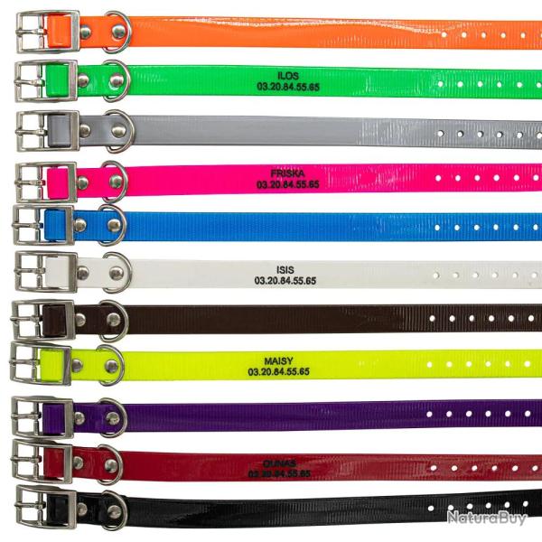 Colliers � graver dans la masse BIOGOLD petit chien et chiot 11 coul. Orange fluo