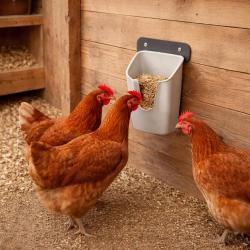 Mangeoire murale volailles V Feedr 700 g